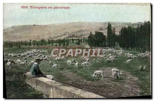 Ansichtskarte AK Troupeau Au Paturage Berger et moutons