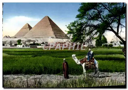 Moderne Karte Cairo The Pyrarnids of Giza Egypte Chameau