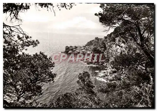 Cartes postales moderne Porquerolles La Grande Cale