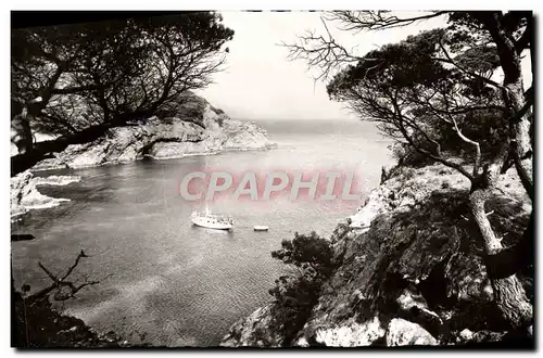 Cartes postales moderne Porquerolles L'Oustaou de Diou