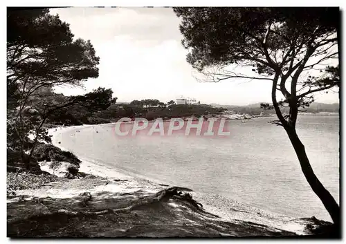 Cartes postales moderne Porquerolles Plage de la Courtade