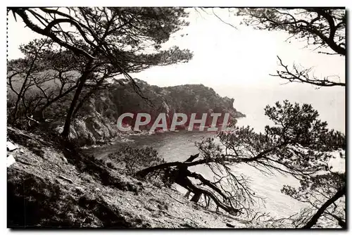 Cartes postales moderne Porquerolles Calonque de L'Oustaou de Diou