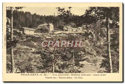 Cartes postales Peira Cava Vue Generale Station estivale Cure d&#39air