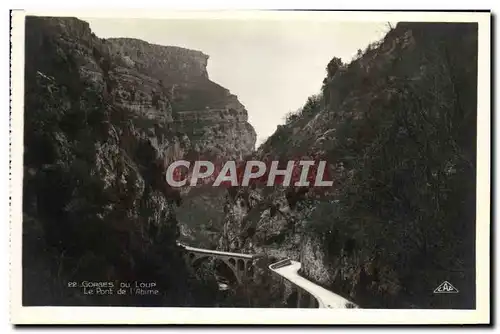 Cartes postales Gorges Du Loup Le pont de l&#39abime