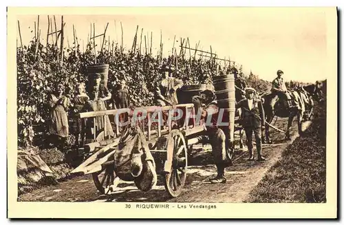 Cartes postales Riquewihr Les Vendanges