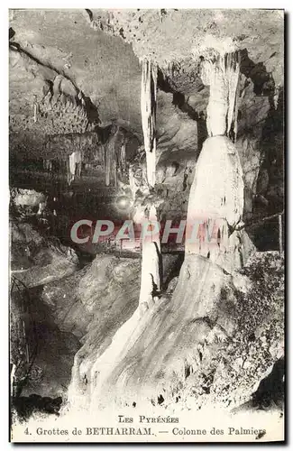 Ansichtskarte AK Grottes de Betharram Colonne Des Palmiers