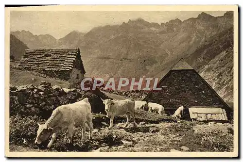 Cartes postales Le Lac D'Estaing Vaches