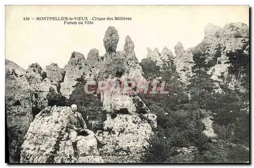 Cartes postales Montpellier le Vieux Le Cirque des Millieres Forum ou Ville