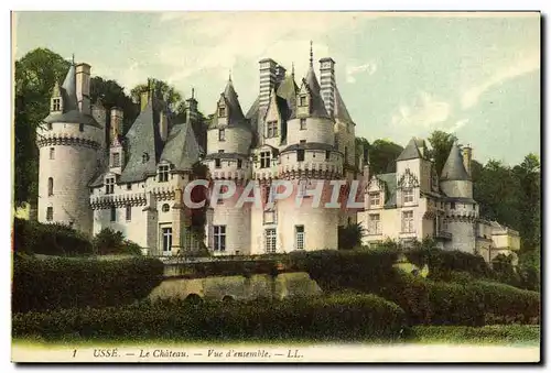 Cartes postales Usse Le Chateau vue d&#39Ensemble