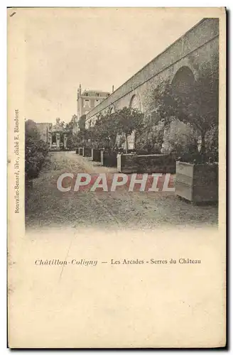 Cartes postales Chatillon Coligny Les Arcades Serres Du Chateau