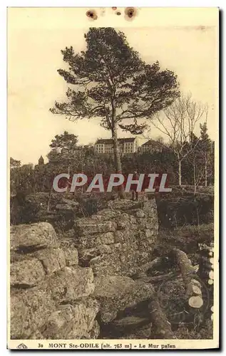 Cartes postales Mont Ste Odile Le Mur Paien