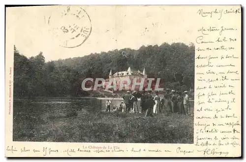 Cartes postales Le Chateau de la Flie