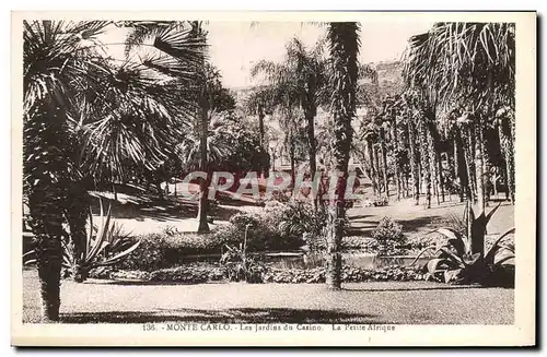 Cartes postales Monte Carlo Les Jardins du casino La petite Afrique