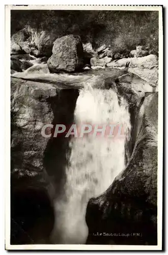 Cartes postales moderne le saut du loup