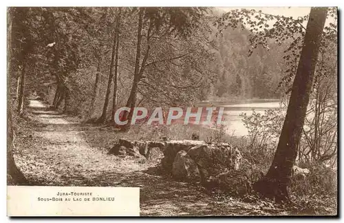 Ansichtskarte AK Sous Bois Au Lac De Bonlieu