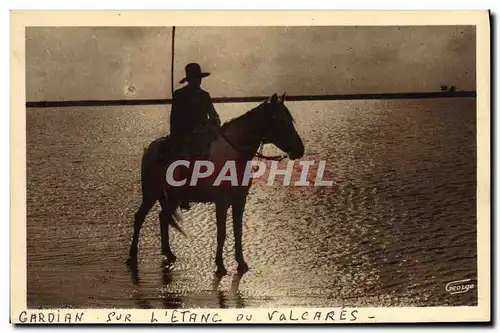 Ansichtskarte AK En Camargue Gardian sur l&#39etang de Valcares Cheval