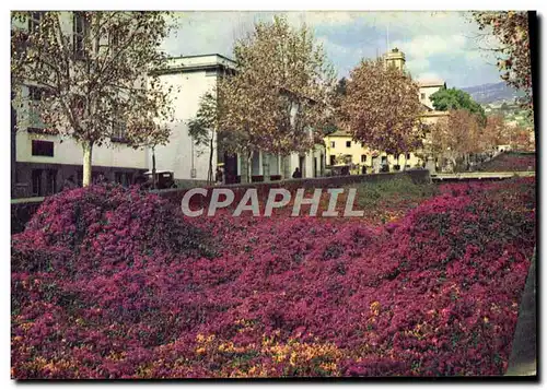 Moderne Karte Bougainvillea at Funchal Madeira