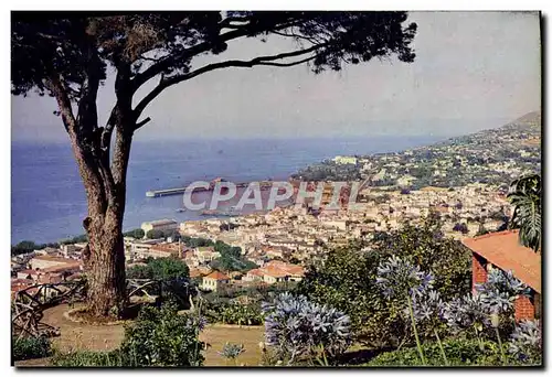 Cartes postales moderne Funchal from a Levada At Bom Sucesso With Tree Madeira