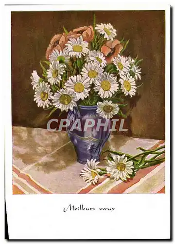 Cartes postales moderne Meilleurs Voeux Fleurs