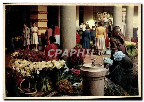 Cartes postales moderne The Flower Corner of the Market Funchal Madeira