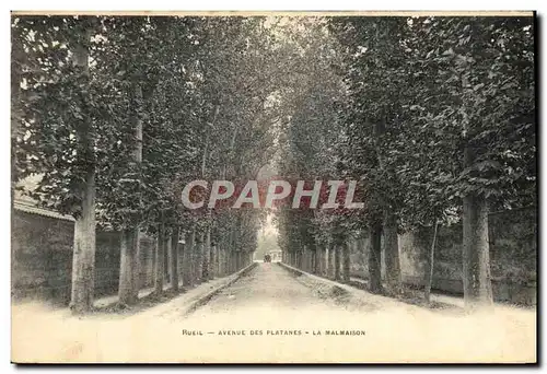 Ansichtskarte AK Rueil Avenue Des platanes La Malmaison