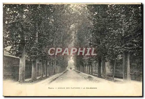 Cartes postales Rueil Avenue Des platanes La Malmaison