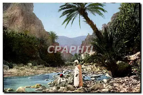 Cartes postales moderne Scenes Types d&#39Afrique Du Nord La Priere Au Paysage Du Sud