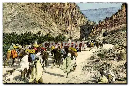 Cartes postales Scenes and Types d&#39Afrique du Nord Dans les gorges d&#39El Kantara Chameaux