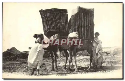 Cartes postales Palanquins Chameaux