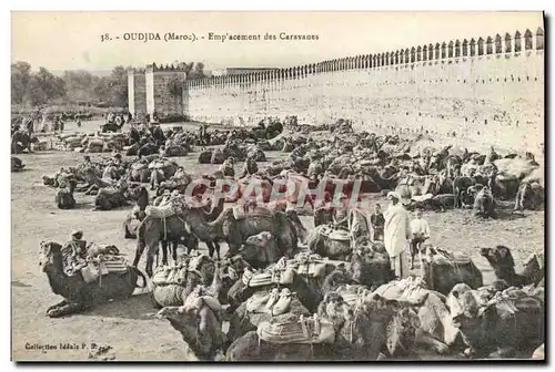 Cartes postales Oudjda Emplacement des Caravanes Chameaux