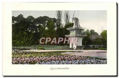 Cartes postales Hyacinthenvelden Moulin