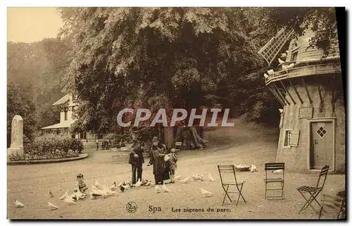 Cartes postales Spa Les pigeons du Parc Moulin