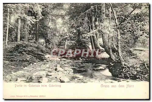 Cartes postales Partie im Eckertale beim Eckerkrug Gruss aus dem Harz