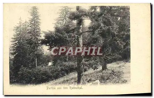 Cartes postales Parthie aus dem Radauthal