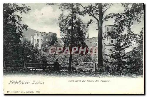 Cartes postales Heidelberger Schloss blick durch die Baume der TErrasse