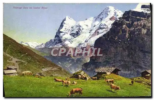 Ansichtskarte AK Paturage dans les Hautes Alpes Vaches Environs de Murren