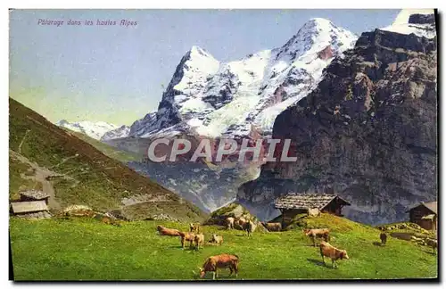 Cartes postales Paturage dans les Hautes Alpes Vaches Environs de Murren