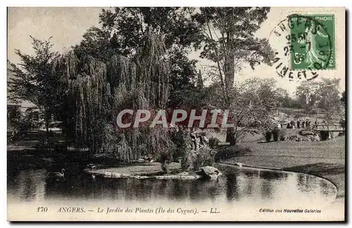 Cartes postales Angers Le Jardin des plantes Ile des cygnes