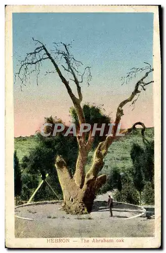 Cartes postales Hebron The Abraham oak