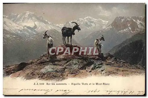 Cartes postales Sur les sommets Aiguilles Verte et le Mont Blanc Chevres