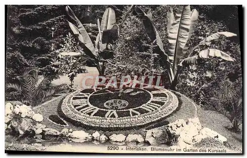 Cartes postales Interlaken Blumenuhr im Garten des Kursaals