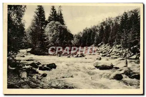 Cartes postales Sumava Vydra