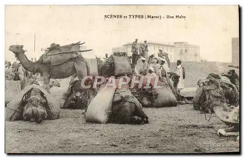 Cartes postales Scenes Et Types Une Halte Chameaux