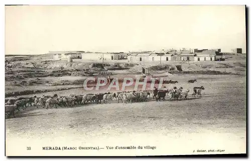 Cartes postales Merada Vue d&#39Ensemble Du Village Chevres Moutons