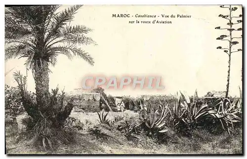 Cartes postales Maroc Casablanca vue Du Palmier Sur La Route d'Aviation