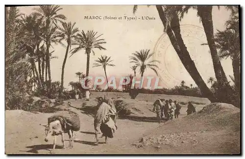 Cartes postales Maroc L&#39Oasis