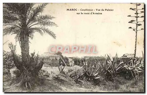 Cartes postales Maroc Casablanca vue Du Palmier Sur La Route D'Aviation