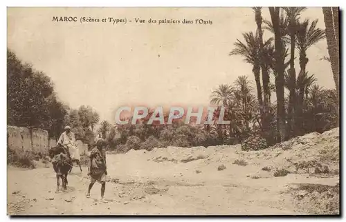 Ansichtskarte AK Maroc Vue Des Palmiers Dans l&#39Oasis