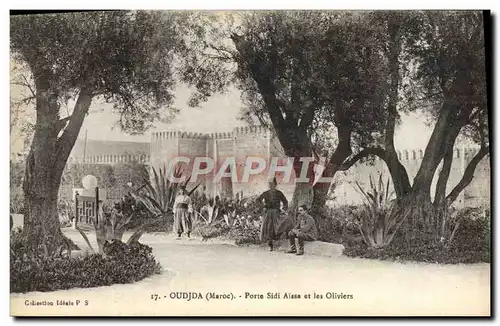 Cartes postales Oudjda Porte Sidi Aissa Et Les Oliviers