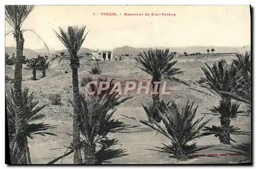 Cartes postales Figuig Marabout De Sidi Tefeur